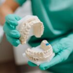 dental health | teeth model